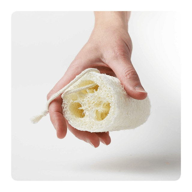 Eponge exfoliante en Luffa