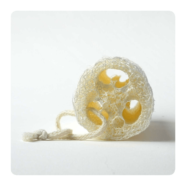 Eponge exfoliante en Luffa