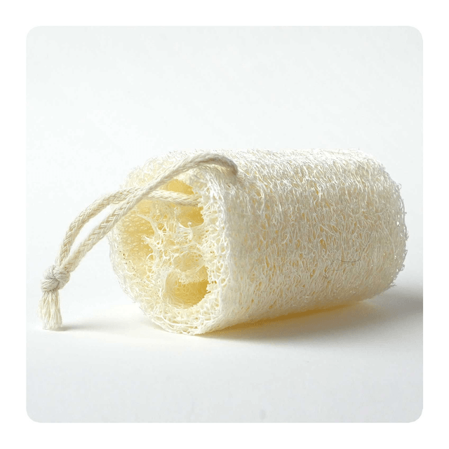 Eponge exfoliante en Luffa