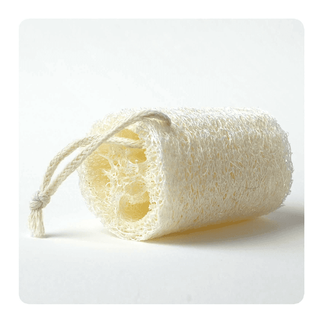 Eponge exfoliante en Luffa